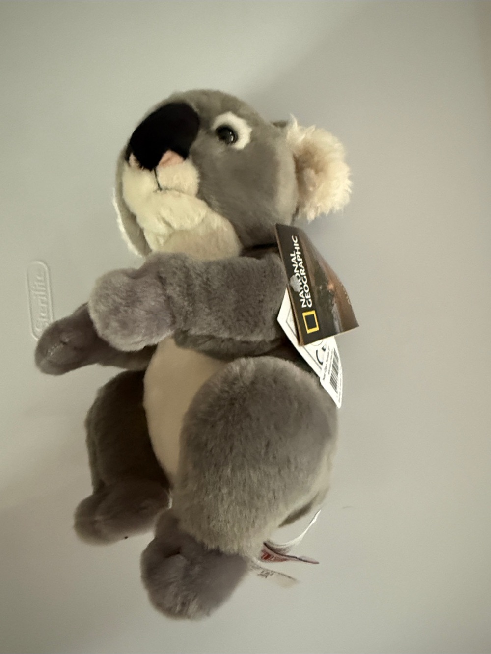 National Geographic Plush Koala - Soft Gray and Cream Small Pet Toy